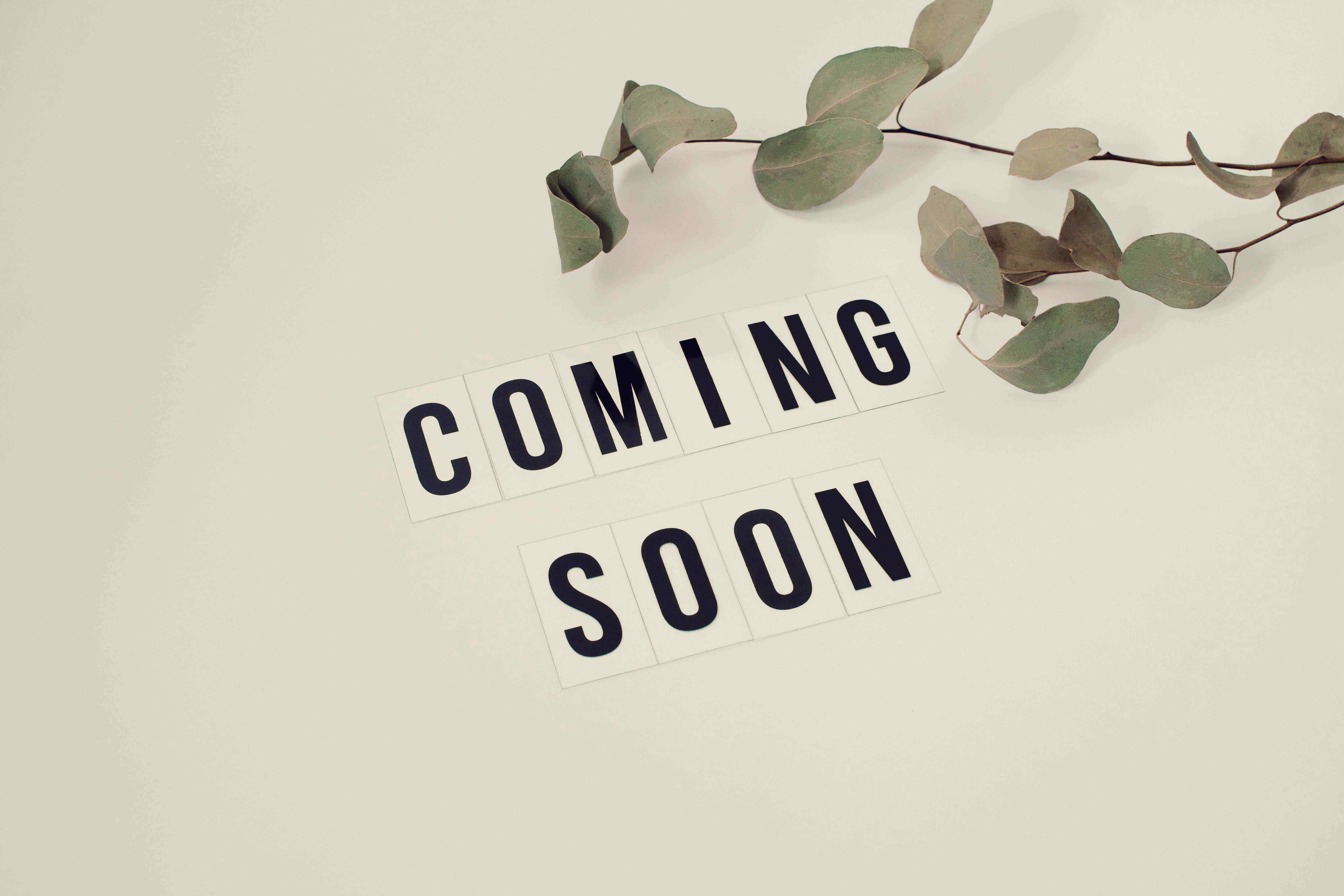 Project Details